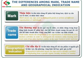 THE DIFFERENCES AMONG MARK, TRADE NAME AND GEOGRAPHICAL INDICATION