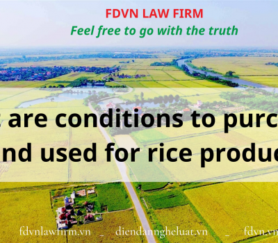 What are conditions to purchase the land used for rice production?