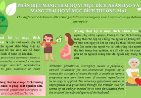 THE DIFFERENCE BETWEEN ALTRUISTIC GESTATIONAL SURROGACY AND COMMERCIAL GESTATIONAL SURROGACY 
