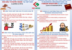 FORM OF CONTRIBUTING CAPITAL, BUYING SHARES, BUYING CAPITAL CONTRIBUTINS TO BUSINESS ORGANIZATIONS OF FOREIGN INVESTORS IN VIET NAM