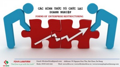 FORMS OF ENTERPRISE RESTRUCTURING