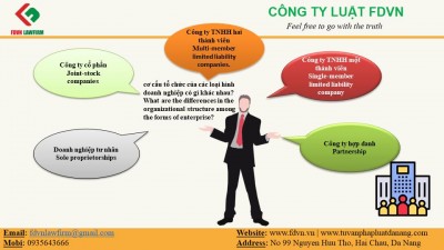 WHAT ARE THE DIFFERENCES IN THE ORGANIZATIONAL STRUCTURE AMONG THE FORMS OF ENTERPRISE?