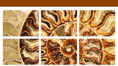 Eco-Translation: Translation and Ecology in the Age of the Anthropocene - Michael Cronin