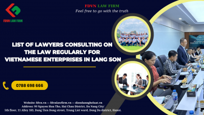 LIST OF LAWYERS CONSULTING ON THE LAW REGULARLY FOR VIETNAMESE ENTERPRISES IN LANG SON