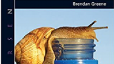 COURSE NOTES: TORT LAW – BRENDAN GREENE 