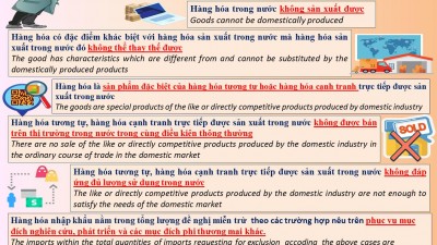 SOMES IMPORTED GOODS ARE EXEMPTED FROM THE APPLICATION OF TRADE REMEDIES