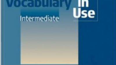 BUSINESS VOCABULARY IN USE: INTERMEDIATE - BILL MASCULL