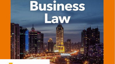 A Basic Guide to International Business Law - H. Wevers, LLM