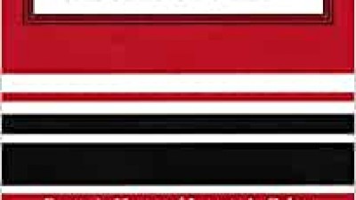 UNDERSTANDING CHINA’S LEGAL SYSTEM – C. HSU