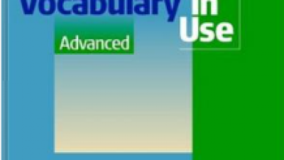 BUSINESS VOCABULARY IN USE – ADVANCED - BILL MASCULL