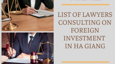 LIST OF LAWYERS CONSULTING ON FOREIGN INVESTMENT IN HA GIANG
