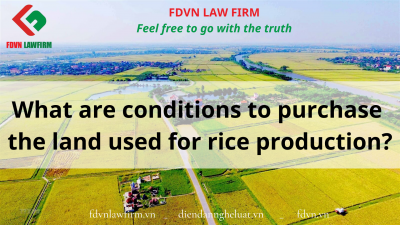 What are conditions to purchase the land used for rice production?