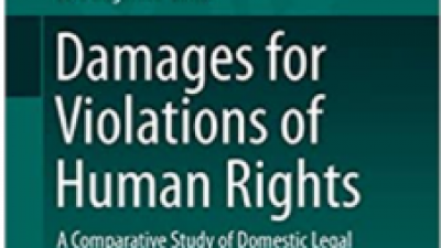 DAMAGES FOR VIOLATIONS OF HUMAN RIGHTS: A COMPARATIVE STUDY OF DOMESTIC LEGAL SYSTEMS – EWA BAGINSKA 