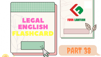 LEGAL ENGLISH FLASHCARD PART 38