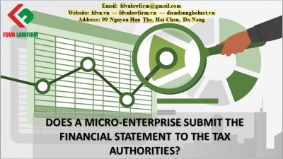 DOES A MICRO-ENTERPRISE SUBMIT THE FINANCIAL STATEMENT TO THE TAX AUTHORITIES?