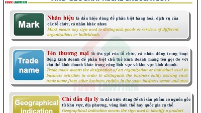 THE DIFFERENCES AMONG MARK, TRADE NAME AND GEOGRAPHICAL INDICATION