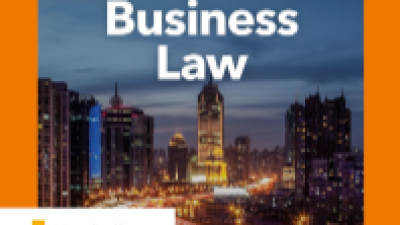 A BASIC GUIDE TO INTERNATIONAL BUSINESS LAW 2021 - HARM WEVERS