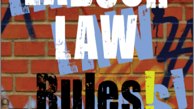 LABOUR LAW RULES! - Second edition (Mcgregor M)