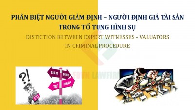 DISTICTION BETWEEN EXPERT WITNESSES AND VALUATORS IN CRIMINAL PROCEDURE 