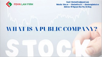 What is a public company?