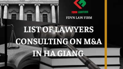 LIST OF LAWYERS CONSULTING ON M&A IN HA GIANG 