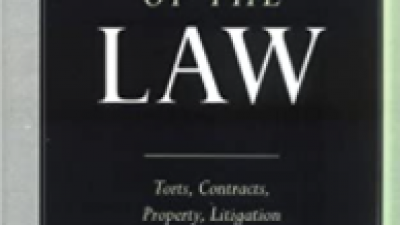 ECONOMICS OF THE LAW: TORTS, CONTRACTS, PROPERTY AND LITIGATION – THOMAS J. MICELI 