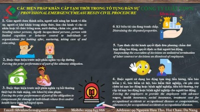 PROVISIONAL EMERGENCY MEASURES IN CIVIL PROCEDURE