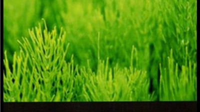 Setting Up a Limited Company (Mark Fairweather & Rosy Border)