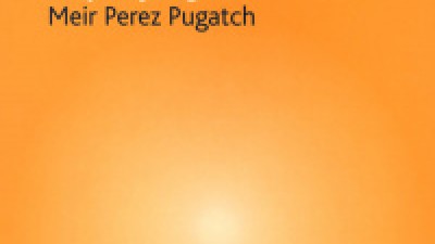 The International Political Economy of Intellectual Property Rights (Meir Perez Pugatch)