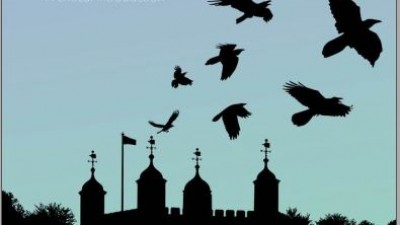 Constitutional Law, Administrative Law, and Human Rights - Professor Ian Loveland