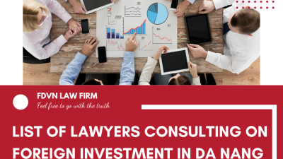 LIST OF LAWYERS CONSULTING ON FOREIGN INVESTMENT IN DA NANG 