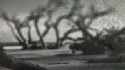 The origins of the federal reserve (By Murray N. Rothbard)