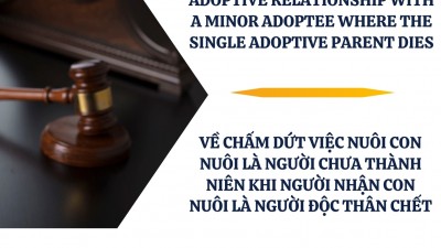 ÁN LỆ SỐ 84/2026/AL VỀ CHẤM DỨT VIỆC NUÔI CON NUÔI LÀ NGƯỜI CHƯA THÀNH NIÊN KHI NGƯỜI NHẬN CON NUÔI LÀ NGƯỜI ĐỘC THÂN CHẾT / CASE LAW NO. 84/2026/AL ON TERMINATION OF THE ADOPTIVE RELATIONSHIP WITH A MINOR ADOPTEE WHERE THE SINGLE ADOPTIVE PARENT DIES