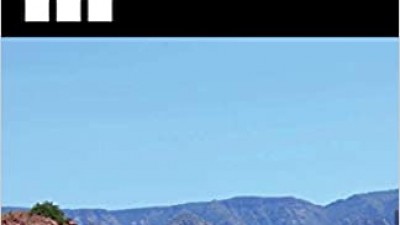 A CONCISE GUIDE TO WRITING A THESIS OR DISSERTATION (HALYNA M. KORNUTA AND RON WGERMAINE)