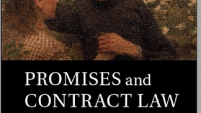 PROMISES AND CONTRACT LAW (Martin Hogg)