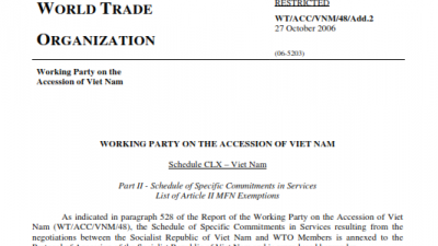 Vietnam's WTO Commitments in Services 