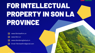 LIST OF LAWYERS FOR INTELLECTUAL PROPERTY IN SON LA PROVINCE