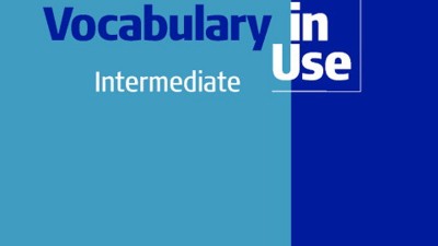 TEST YOUR BUSINESS VOCABULARY IN USE - GEORGE BETHELL, TRICIA ASPINOLL