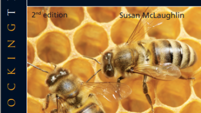 UNLOCKING COMPANY LAW (Susan McLaughlin)