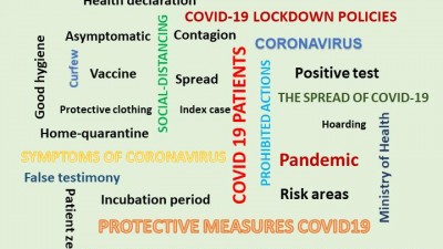 SUMMARIZING 100 CORONAVIRUS VOCABULARIES