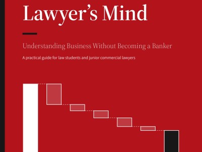 THE COMMERCIAL LAWYER'S MIND: UNDERSTANDING BUSINESS WITHOUT BECOMING A BANKER (A PRACTICAL GUIDE FOR LAW STUDENTS AND JUNIOR COMMERCIAL LAWYERS) BY BY HERMAN, HENRY & DOMINIC