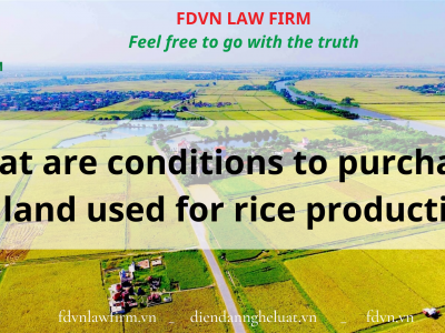 What are conditions to purchase the land used for rice production?