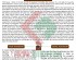 TỔNG LƯỢC 08 ÁN LỆ MỚI NHẤT CÓ HIỆU LỰC TỪ NGÀY 01/7/2026 / OVERVIEW OF 8 NEW CASE LAWS EFFECTIVE FROM JULY 1, 2026