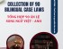 TỔNG HỢP 90 ÁN LỆ SONG NGỮ VIỆT - ANH / COLLECTION OF 90 BILINGUAL CASE LAWS