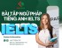 LEARNING ENGLISH WITH FDVN LAWFIRM: BÀI TẬP NGỮ PHÁP TIẾNG ANH IELTS CƠ BẢN