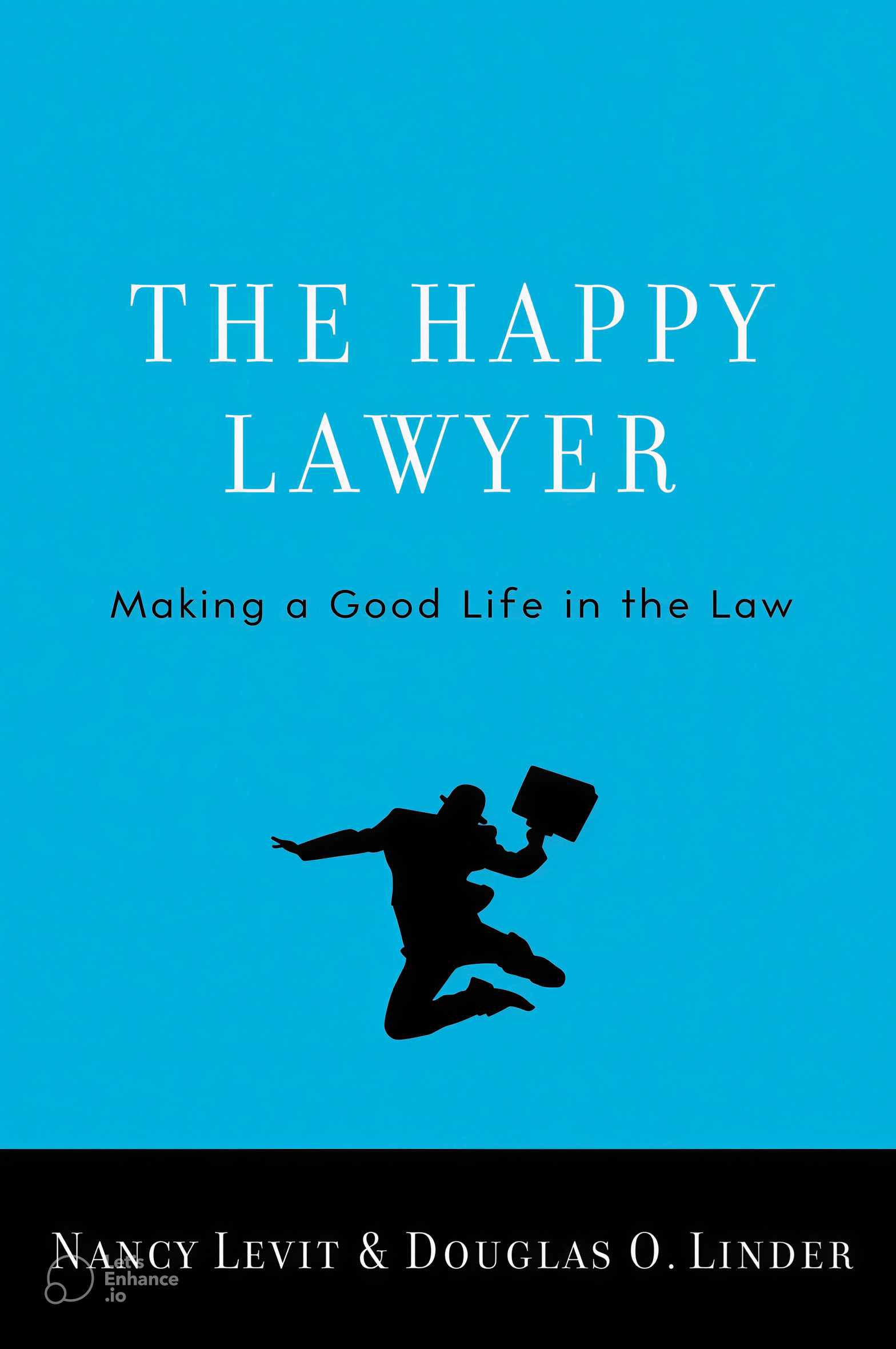 THE HAPPY LAWYER: MAKING A GOOD LIFE IN THE LAW BY NANCY LEVIT & DOUGLAS O.LINDER